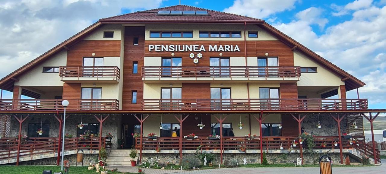 Pensiunea Maria Gilău Exterior foto